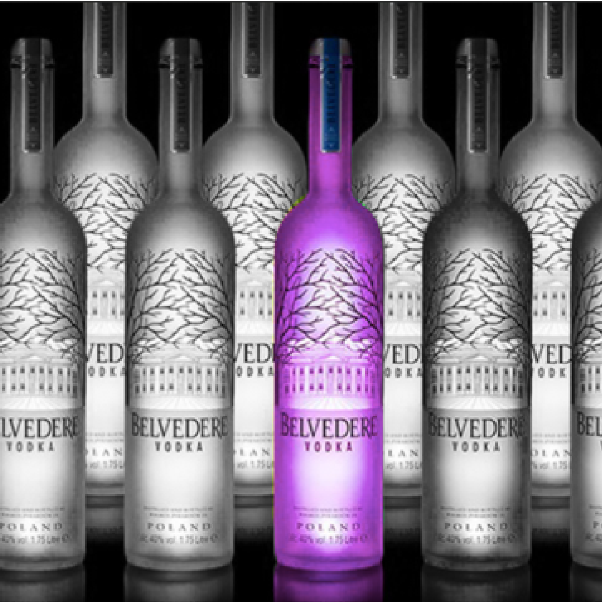 LED Bottle Glorifier Sticker Light