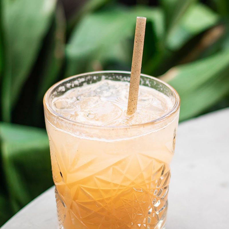 Agave Straws Individually Wrapped Plant Based Restaurant Bulk