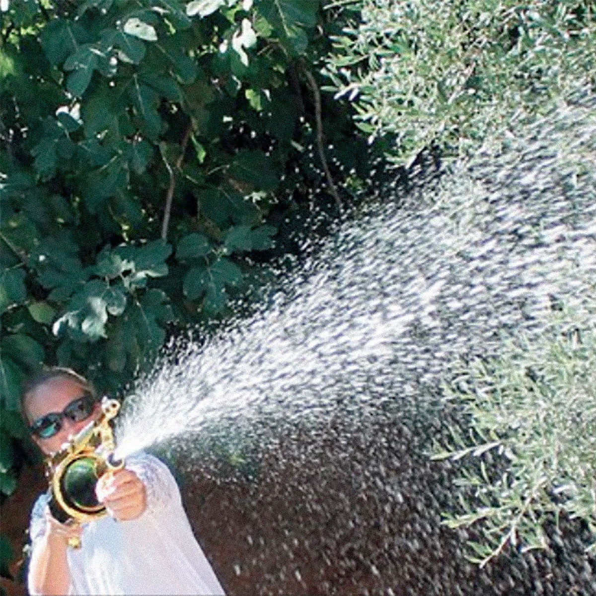 The One and Only Champagne Gun – King of Sparklers