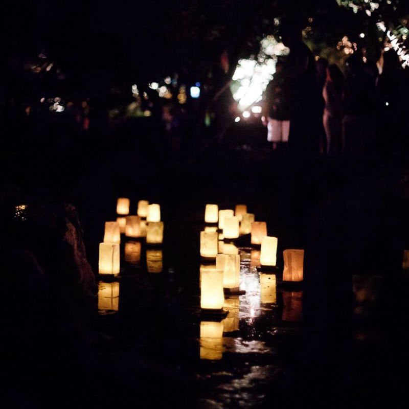 Floating Lanterns 6 Pack